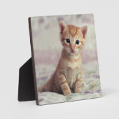 Tiny Ginger Kitten Fotoplatte (Vorderseite)