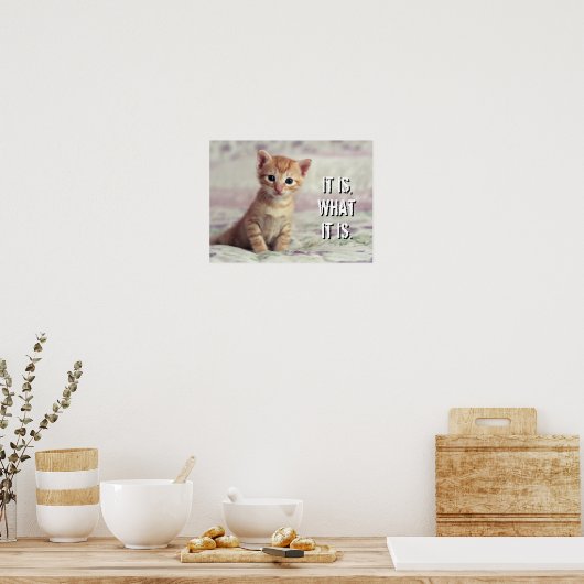 Tiny Ginger Kitten Poster (Küche)