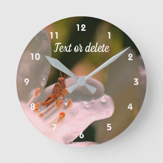 Tiny Grasshopper auf Azalea Blume Personalisiert   Runde Wanduhr (Vorderseite)