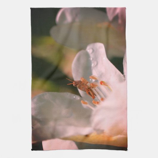 Tiny Grasshopper auf der Blume der weißen Azalea Geschirrtuch (Vertikal)