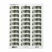 Tiny Grasshopper auf der Blume White Azalea (Vorne)