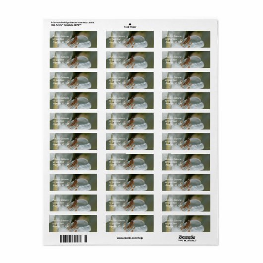 Tiny Grasshopper auf der Blume White Azalea (Vorne)