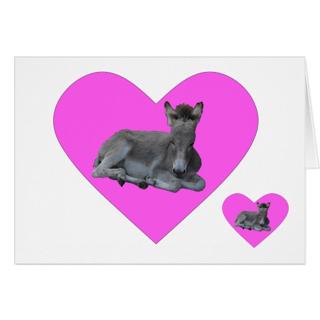 Tiny Gray Donkey Foal in Big Pink Heart (Vorderseite (Horizontal))