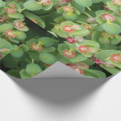 Tiny Green Flora Geschenkpapier (Ecke)