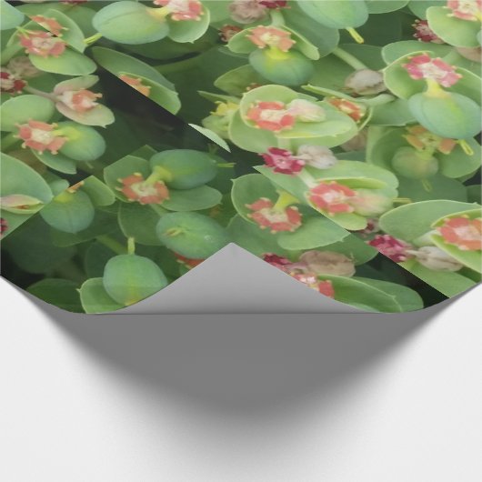 Tiny Green Flora Geschenkpapier (Ecke)