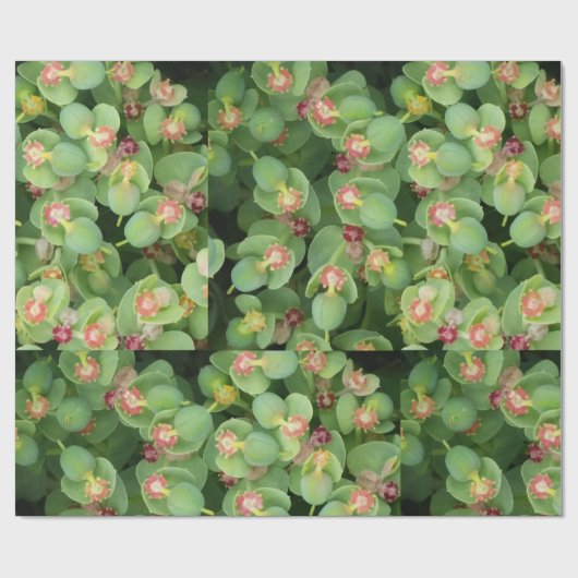 Tiny Green Flora Geschenkpapier (Flach)