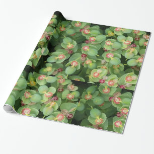 Tiny Green Flora Geschenkpapier