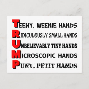 Tiny Hands Trump Postcard Postkarte