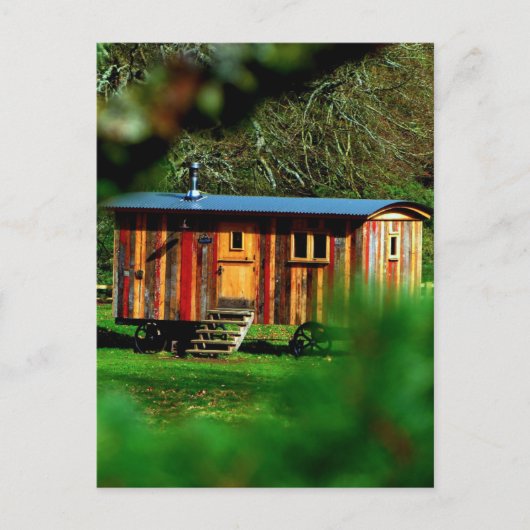 TINY HOUSE NIEDLICH POSTCARD POSTKARTE (Vorderseite)