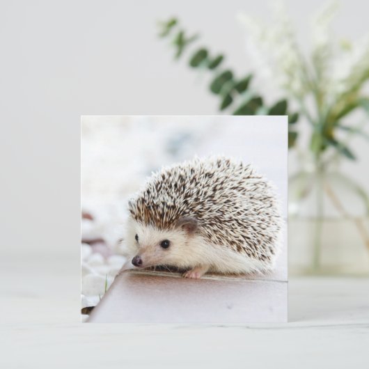 Tiny Igel (Stehend Vorderseite)
