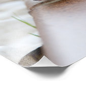 Tiny Igel Fotodruck (Ecke)