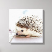 Tiny Igel Leinwanddruck (Vorderseite)