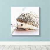 Tiny Igel Leinwanddruck (Insitu (Holzboden))