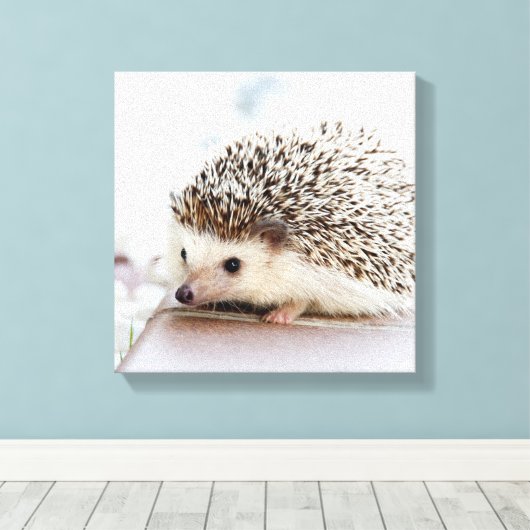 Tiny Igel Leinwanddruck (Insitu (Holzboden))