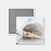 Tiny Igel Magnet (Vorderseite/Rückseite)