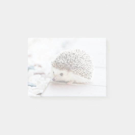 Tiny Igel Post-it Klebezettel (Vorderseite)
