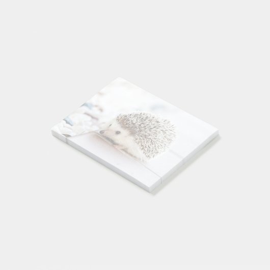 Tiny Igel Post-it Klebezettel (angewinkelt)