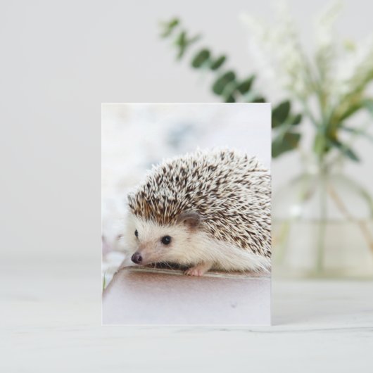 Tiny Igel Postkarte (Stehend Vorderseite)