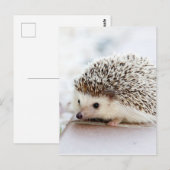 Tiny Igel Postkarte (Vorne/Hinten)