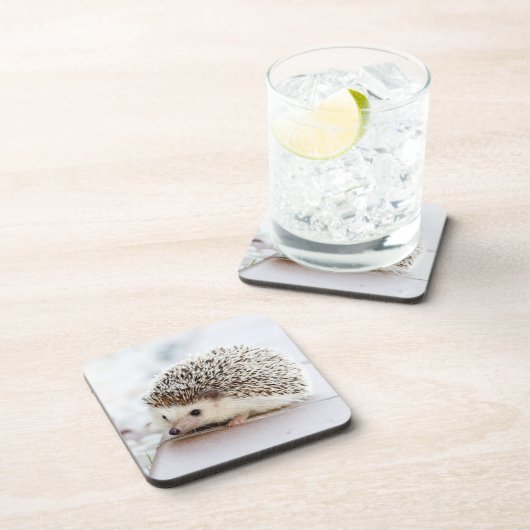 Tiny Igel Untersetzer (Rechte Seite)