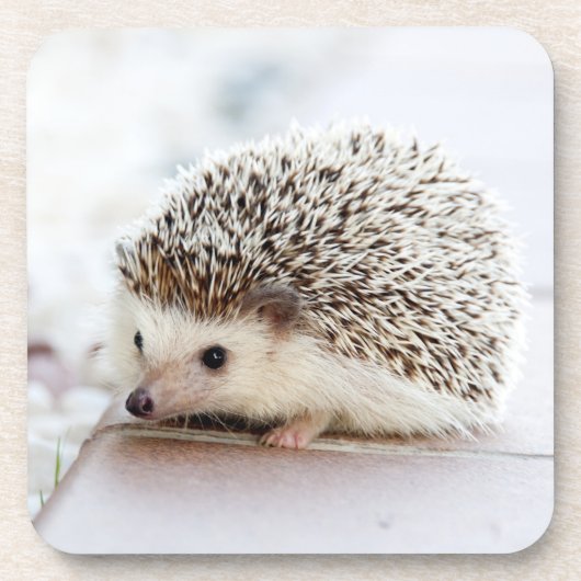 Tiny Igel Untersetzer (Vorderseite)