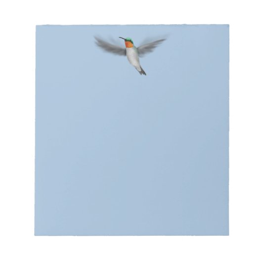 Tiny Illustriert Hummingbird Notizblock (Vorderseite)