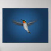 Tiny Illustriert Hummingbird Poster (Vorne)