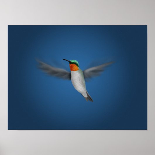 Tiny Illustriert Hummingbird Poster (Vorne)