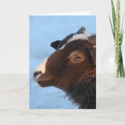 Tiny Karte (Vorderseite)