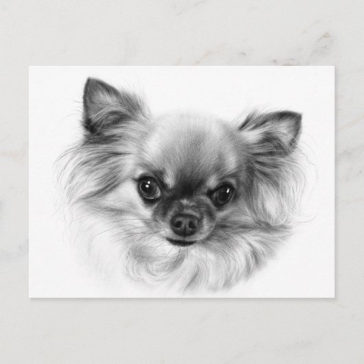 Tiny King - Handgemalt Chihuahua Portrait Postkarte (Vorderseite)