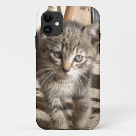 Tiny Kitten IPhone 5 Fall Case-Mate iPhone Hülle (Rückseite)