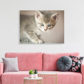 Tiny Kitten Leinwanddruck (Insitu (Wohnzimmer))