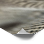 Tiny Kitten Poster (Ecke)