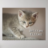 Tiny Kitten Poster (Vorne)