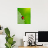 Tiny Lady Bug Poster (Heimbüro)