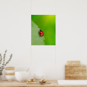 Tiny Lady Bug Poster (Küche)