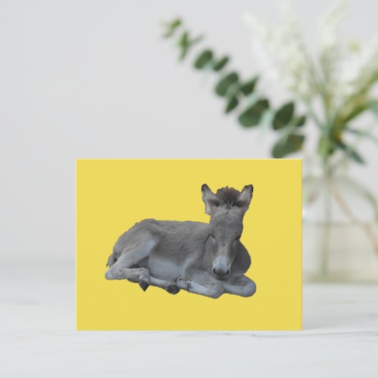 Tiny Little Gray Donkey Foal Postkarte (Stehend Vorderseite)