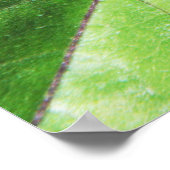 Tiny Mantis Poster (Ecke)