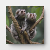 Tiny Marmoset Titans unter den Zweigen, Fotoplatte (Vorderseite)