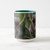 Tiny Marmoset Titans unter den Zweigen, Tasse (Zentrum)