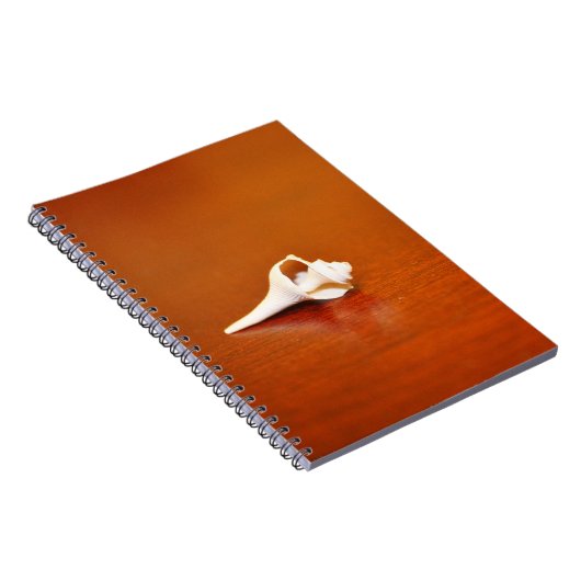 Tiny Muschel Notizblock (Rechte Seite)