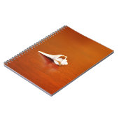 Tiny Muschel Notizblock (Linke Seite)