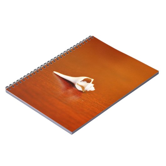 Tiny Muschel Notizblock (Linke Seite)