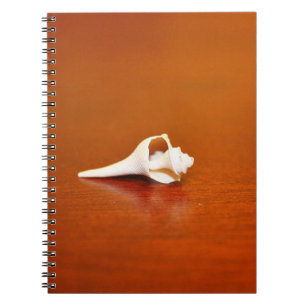 Tiny Muschel Notizblock