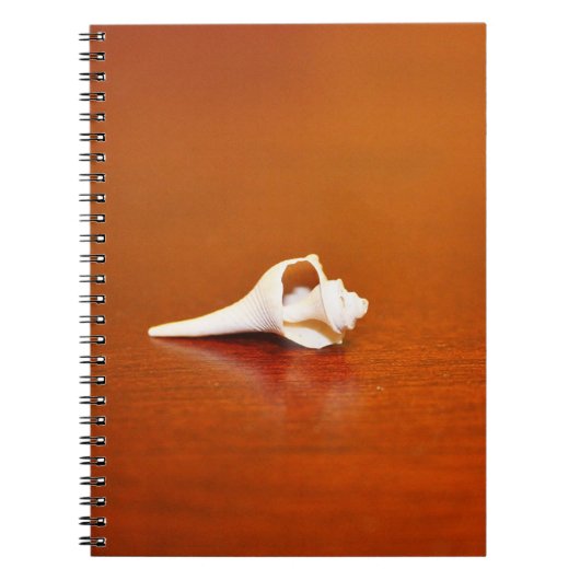 Tiny Muschel Notizblock (Vorderseite)