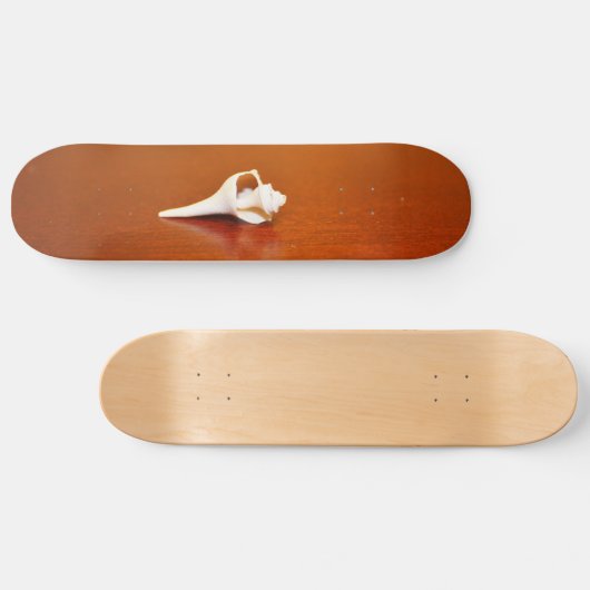 Tiny Muschel Skateboard (Horizontal)