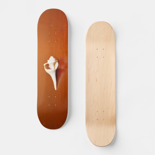 Tiny Muschel Skateboard (Vorderseite)