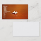 Tiny Muschel Visitenkarte (Vorne/Hinten)