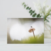 Tiny Mushroom Nature Foto Card (Stehend Vorderseite)