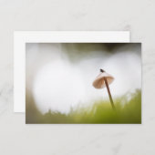 Tiny Mushroom Nature Foto Card (Vorne/Hinten)